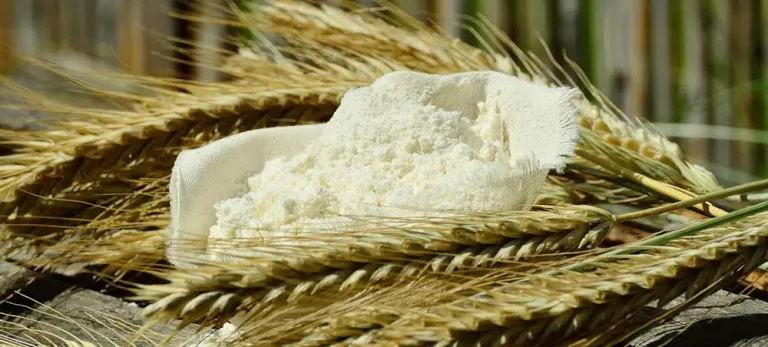 wheat flour