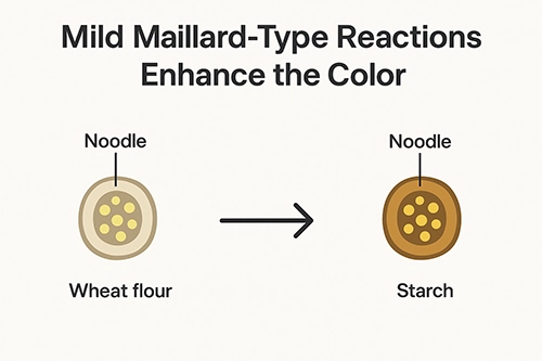Mild Maillard-Type Reactions Enhance the Color